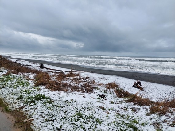 Redwood State and National Parks (Snow at beach)