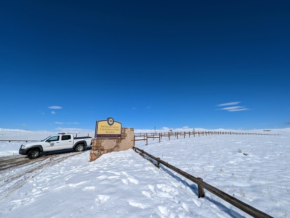 Antelope Valley CA Poppy Reserve (Snow)