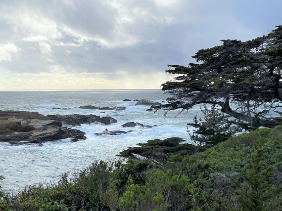 Point Lobos SNR (Ocean view)