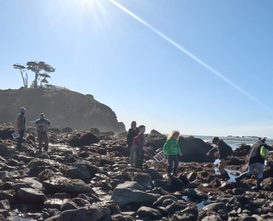 Del Norte County Battery Point tide pools