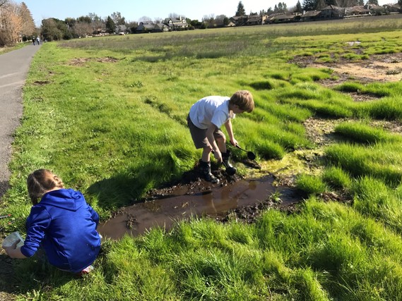 Sonoma SHP_kids at wetlands