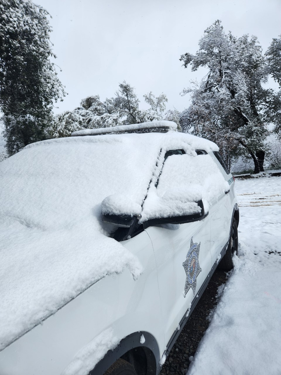 SPPO SUV in snow