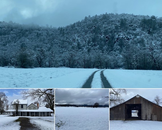 Anderson Marsh SHP snow collage