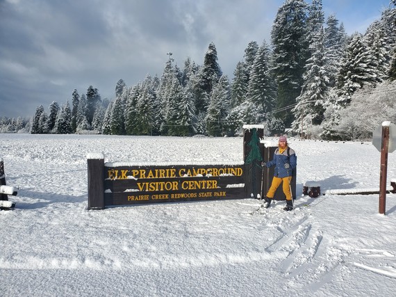 Prairie Creek Redwoods SP (cross country ski)