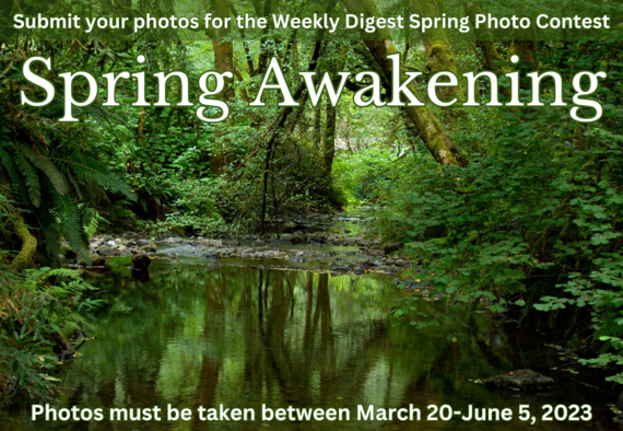 Spring Awakening Photo Contest graphic 2