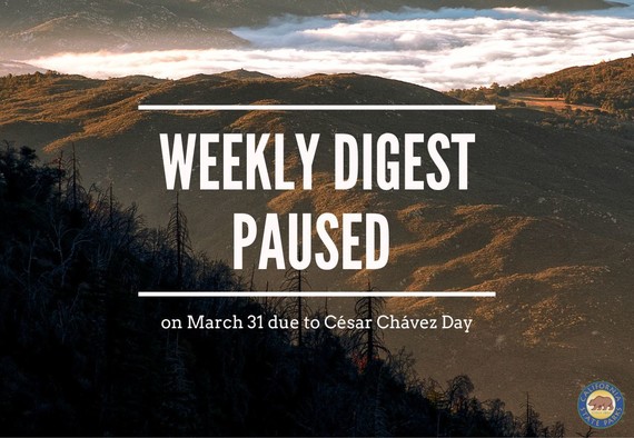 Weekly DIgest Paused graphic