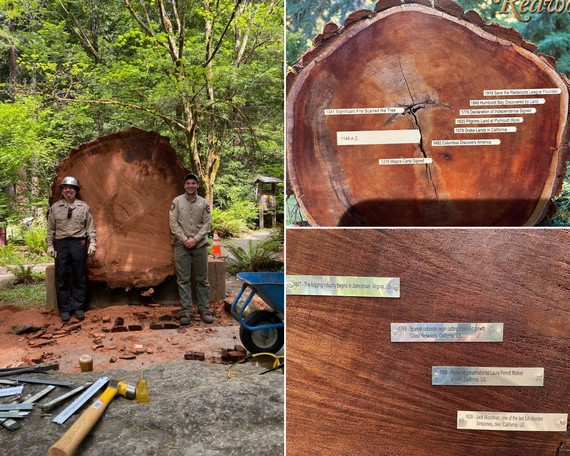 Humboldt Redwoods SP_plaque collage