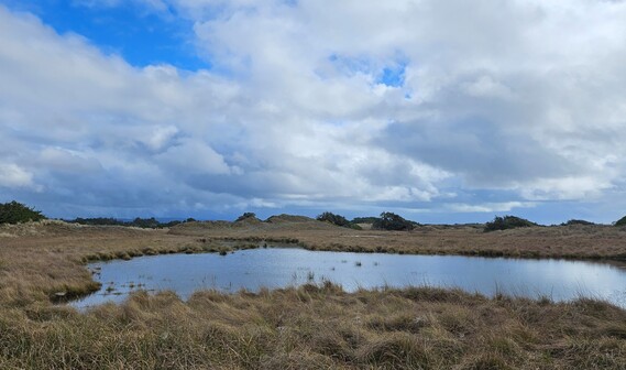 Tolowa Dunes State Park