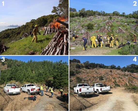 Angel Island SP (Pile burn collage)