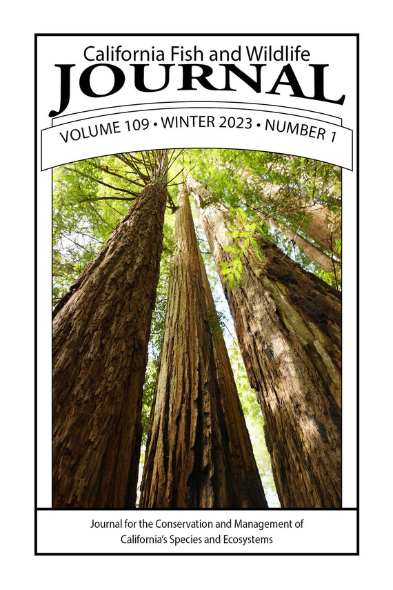 Cover of the 109-1 issue with picture of tall redwood trees from Big Basin Redwoods Park taken looking straight up at the trees