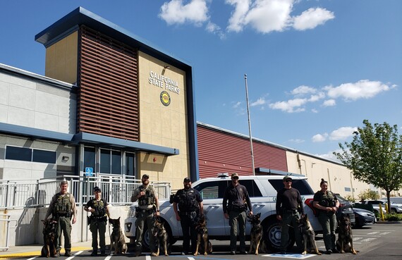 K-9s and their handlers at McClellan