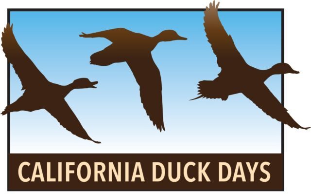 Ducks Days logo