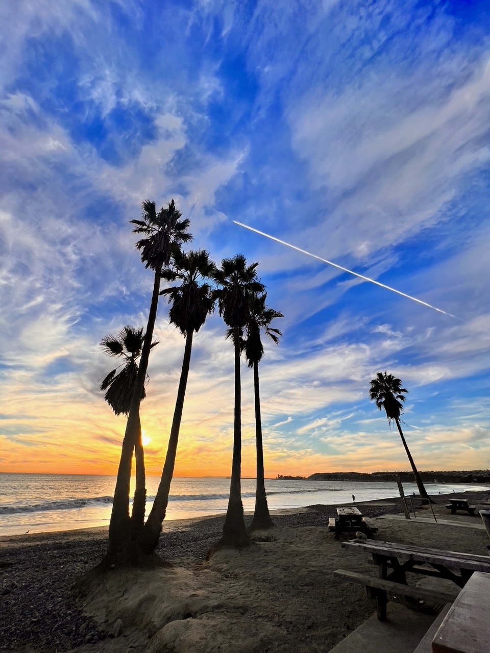 Doheny State Beach