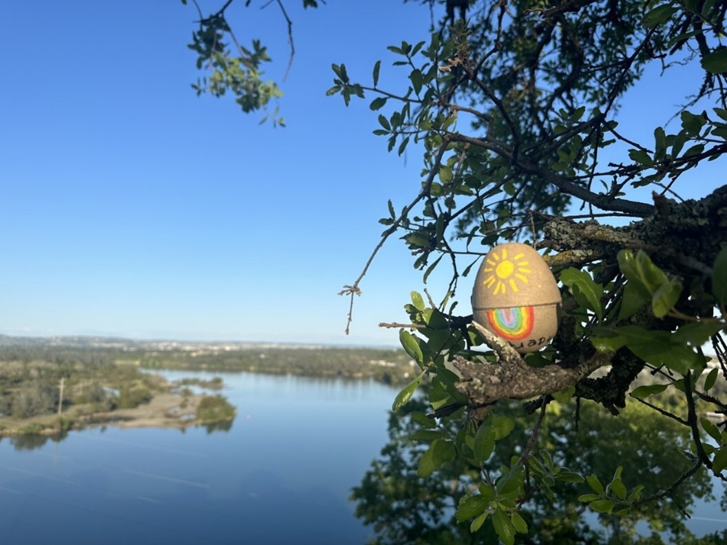 Wellness challenge pic (disposable egg on tree)