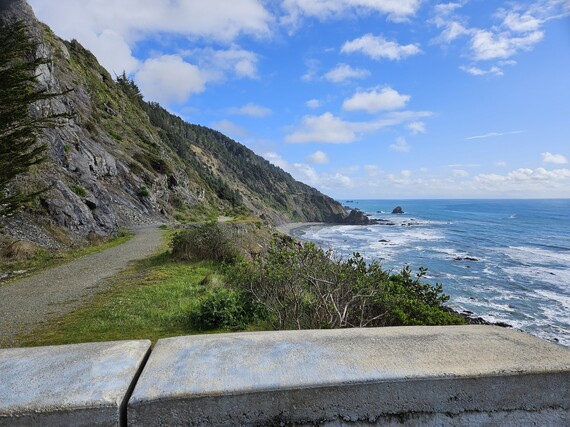 Redwood National and State Park (beach)