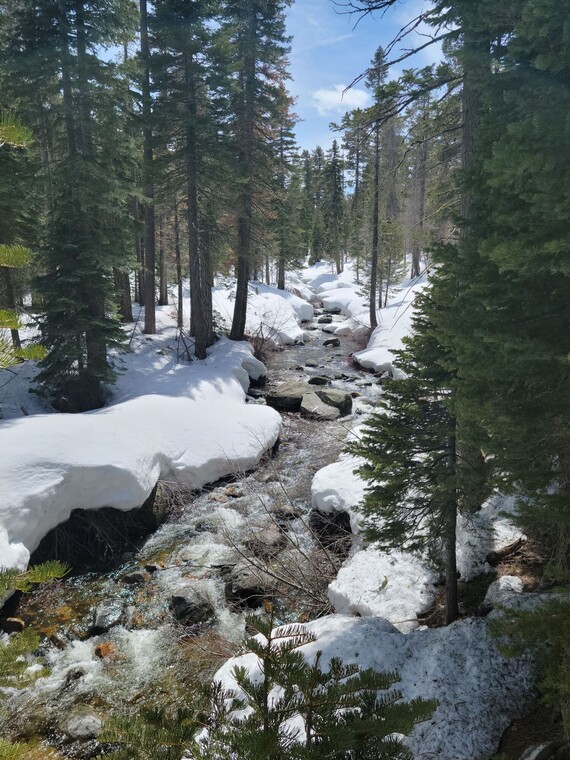 Ed Z'berg Sugar Pine Point SP (General Creek)