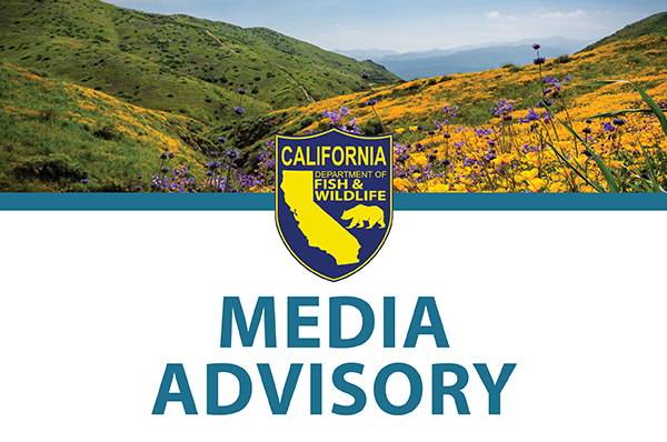 Banner with green hills at top and CDFW logo and Media Advisory at bottom