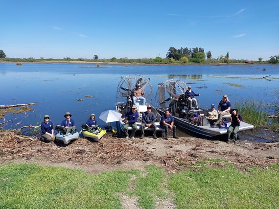 Prospect Island Sac-San Joaquin Delta