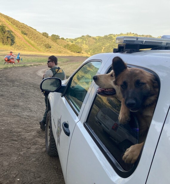 Hollister Hills SVRA (Ranger and dogs)