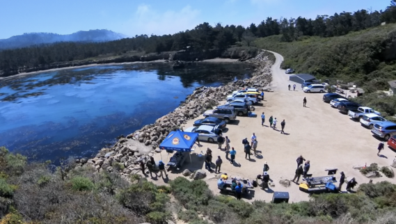 Point Lobos SNR (whalers cove)