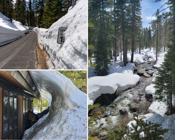 Ed Z'berg Sugar Pine Point SP (snow collage)
