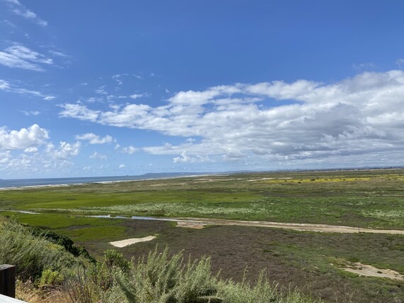Border Field SP (scenic view)