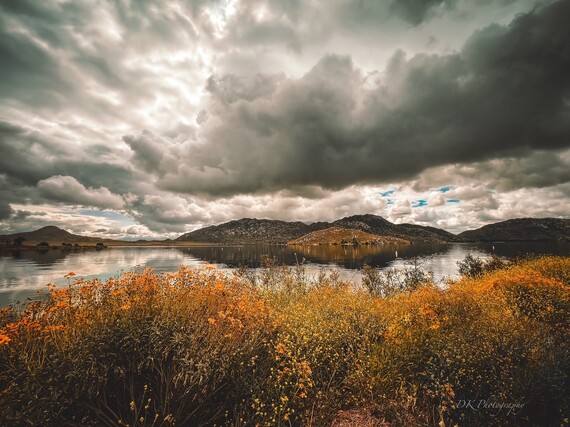 Lake Perris SRA (Spring)