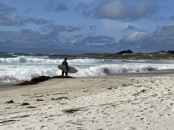 Asilomar State Beach Surfer
