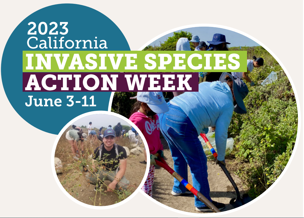 California Invasive Species Action Week 2023