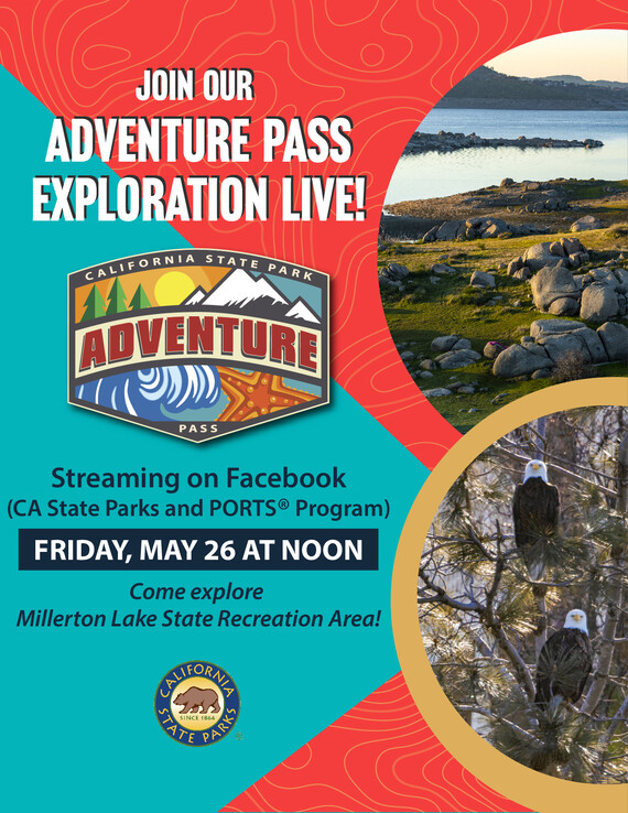 APExploreLIVE_5_SocialMedia