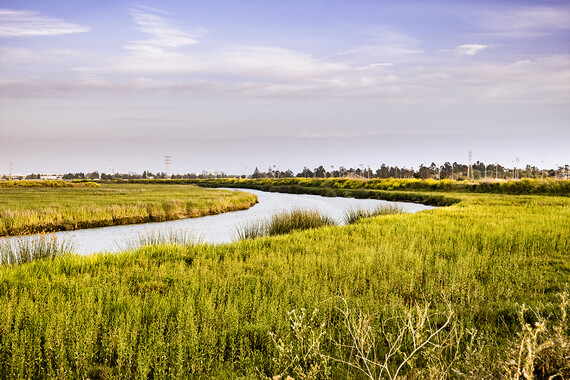 river with grass of green and yellow hues on both sides