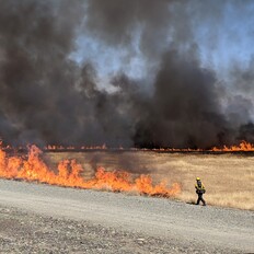 A CAL FIRE firefighter monitors control burn activities in the Thermalito Forebay area. 
