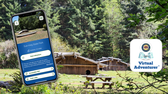 Virtual Adventurer Banner (3)