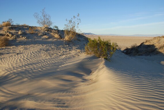 Ocotillo Wells SVRA (Mat Puy Nah Achhuukaayp  2) Devils Slide Dune