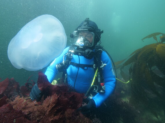 World Ocean Week (Erika Delemarre and moon jelly)