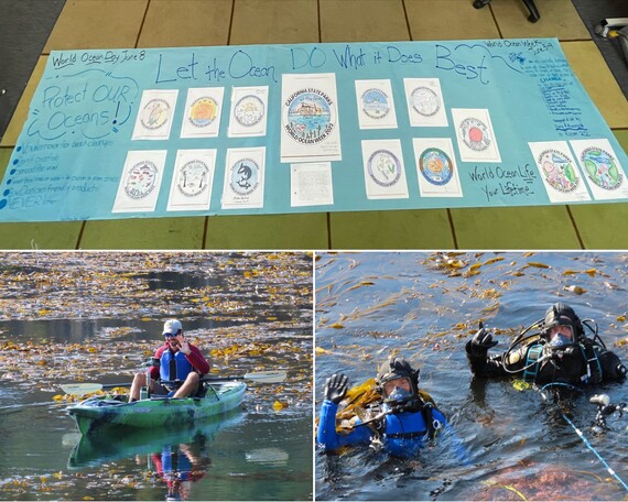 World Ocean Week (collage)