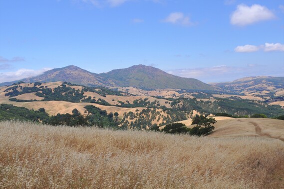 Mount Diablo SP(from morgan ridge road)