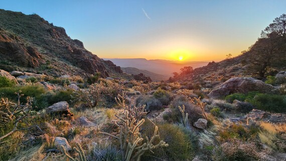 Providence Mountains SRA (Sunrise over canyon)