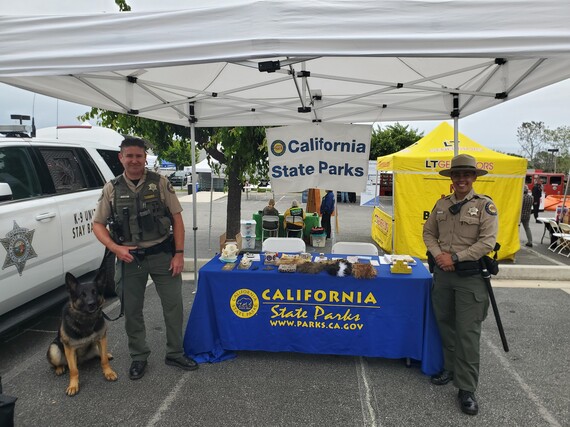 Rangers Gunn, Maikai and K9 Argo