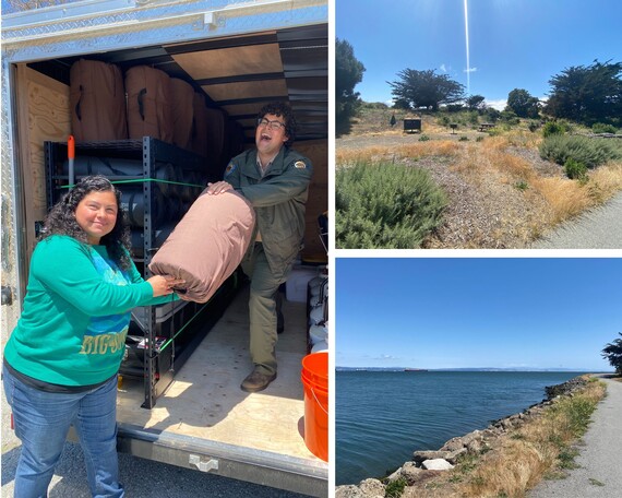 Candlestick Point SRA collage