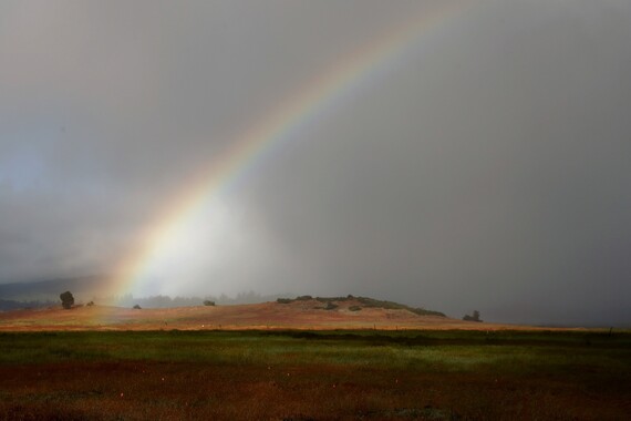 Anza-Borrego Desert SP (rainbow)