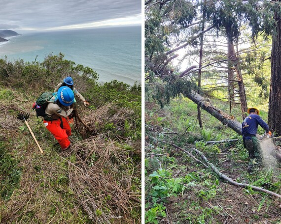Sinkyone Wilderness State Park_ Lost Coast Trail
