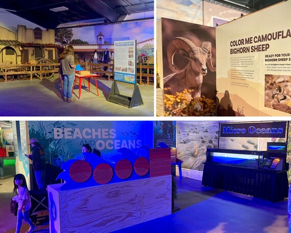 San Diego County Fair