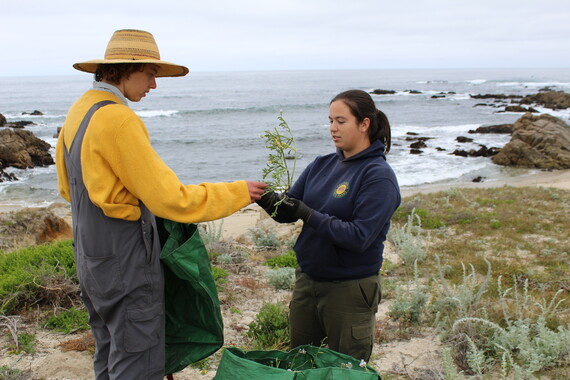 Monterey District Parks Week (Asilomar 6)