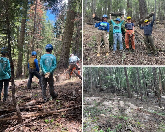 Plumas Eureka SP (fuel reduction collage)