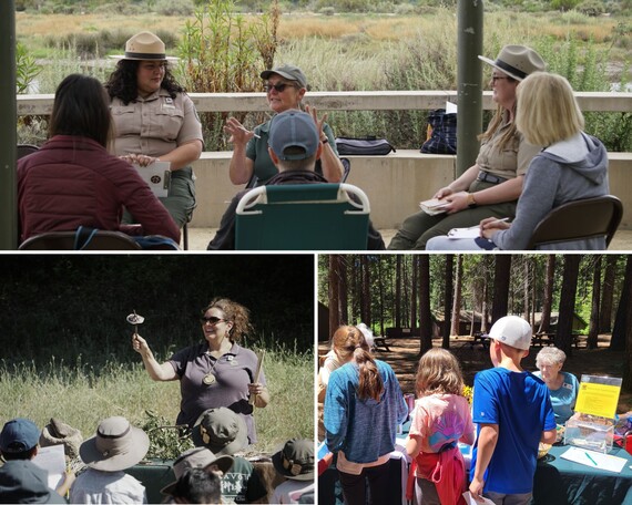 State Parks Week (Collage 3)
