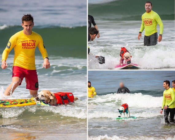 Huntington SB (dog surf challenge collage)