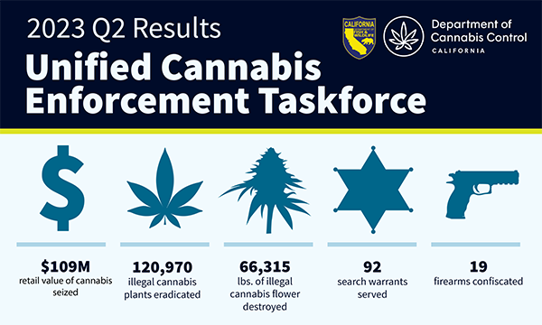 graphic summary of cannabis enforcement information provided below