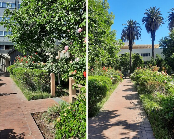 Leland Stanford Mansion SHP (pathway collage)