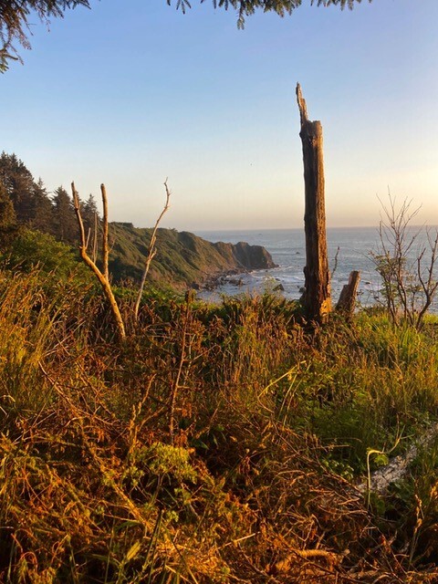 Sue-meg SP (evening colors)